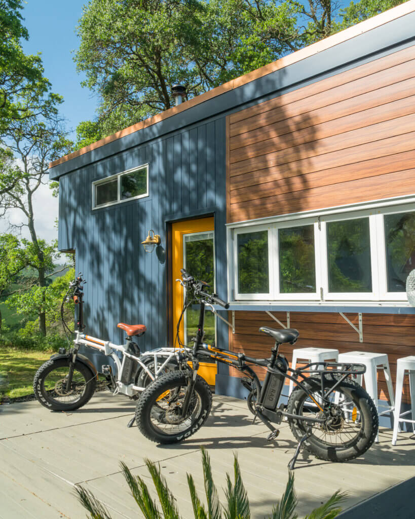 radmini fat bike